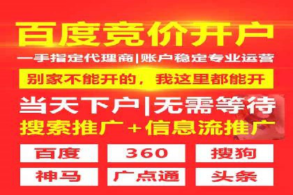 SEM服务托管实战案例分析报告